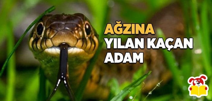 Ağzına Yılan Kaçan Adam Hikayesi - Masal Oku image