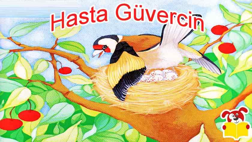 Hasta Güvercin Hikayesi - Masal Oku image