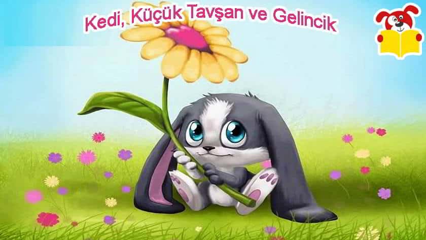 Kedi, Küçük Tavşan ve Gelincik Hikayesi - Masal Oku image