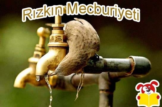 Rızkın Mecburiyeti Hikayesi - Masal Oku image