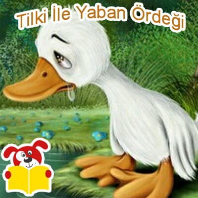 Tilki İle Yaban Ördeği Hikayesi - Masal Oku image