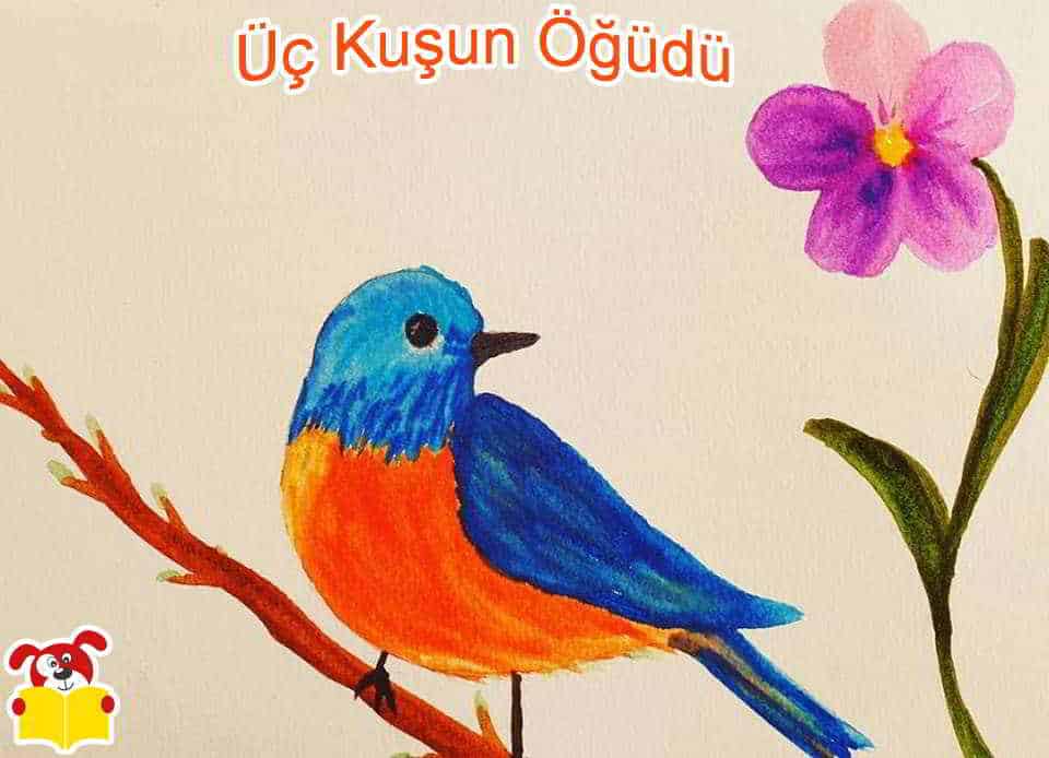 Üç Kuşun Öğüdü Hikayesi - Masal Oku - Masal Oku