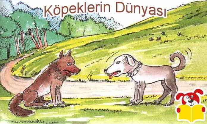 Köpeklerin Dünyası Hikayesi - Masal Oku image